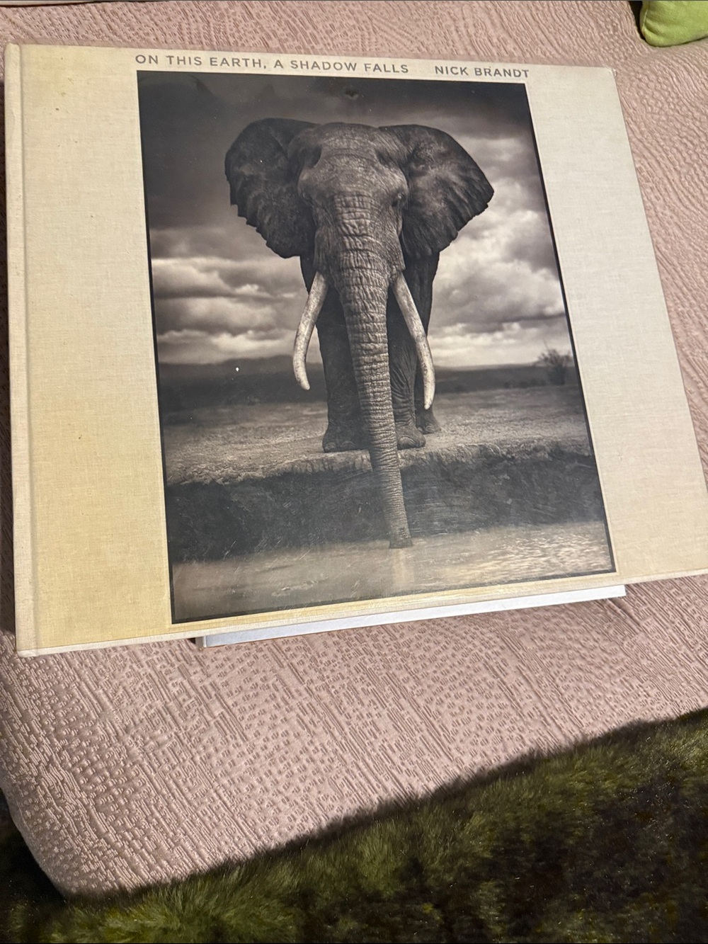 On This Earth, A Shadow Falls by Nick Brandt